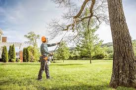 How Our Tree Care Process Works  in  Waldo, AR